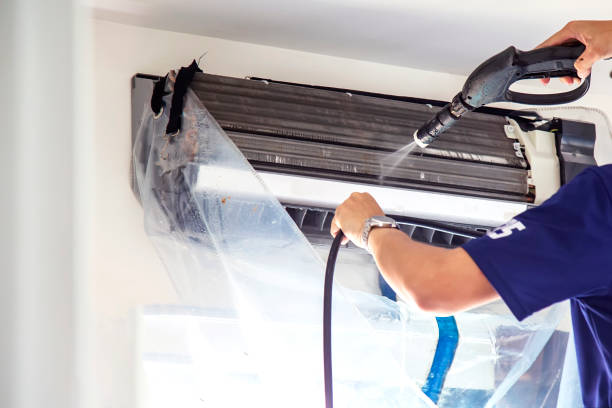 Best Professional Duct Cleaning Services  in Pisgah, AL