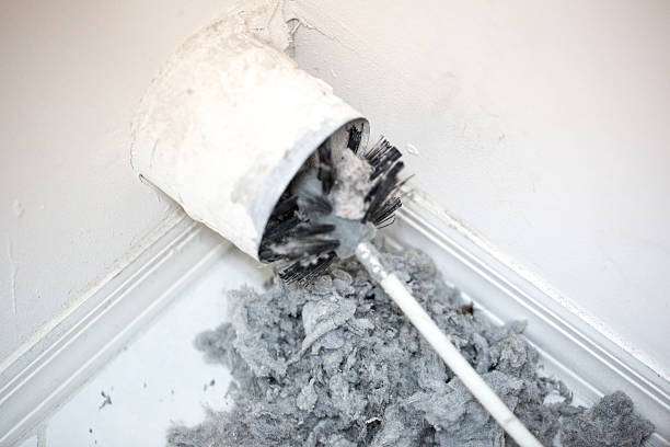 Best Affordable Air Duct Cleaning  in Pisgah, AL